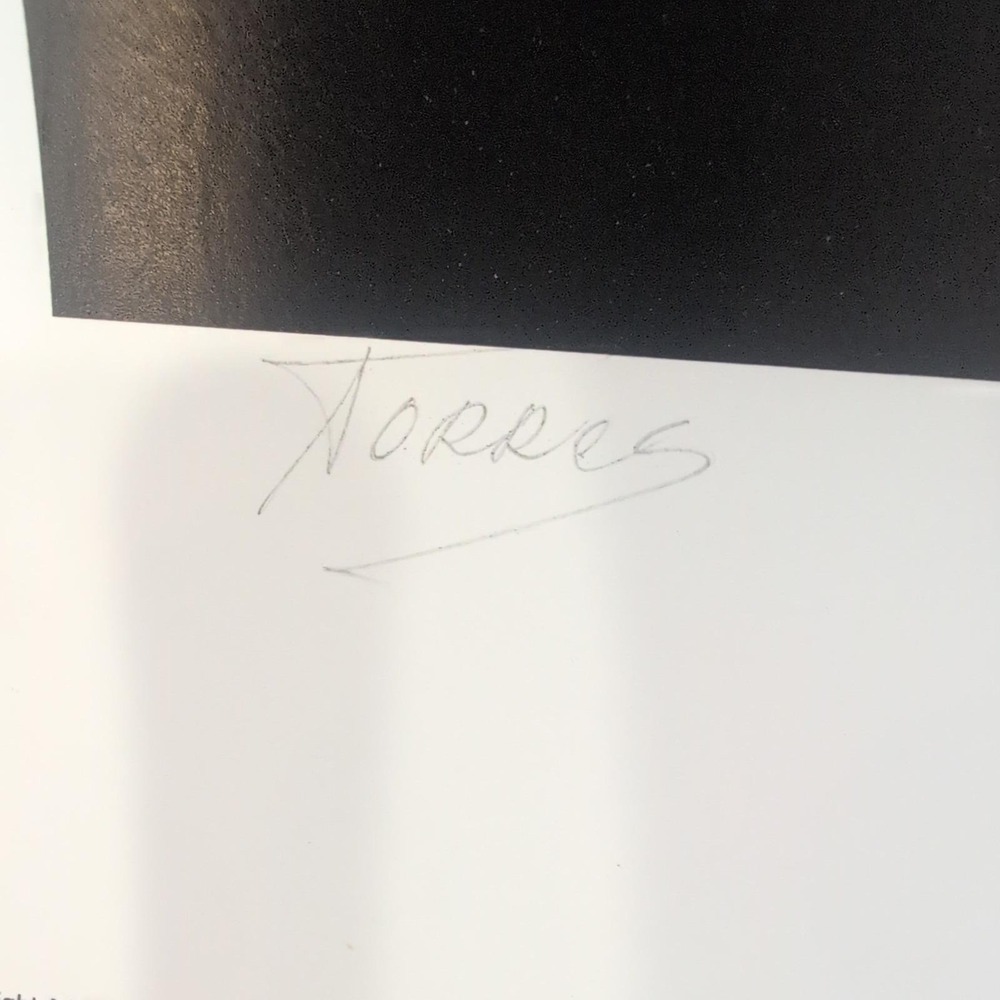 Sonia Torres Limited Edition, Numbered, Signed Arabian Left Horse Artist's Print - Picture 7 of 8